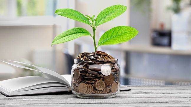 Tips to grow your business (without a lot of money) - Green Hub Directory
